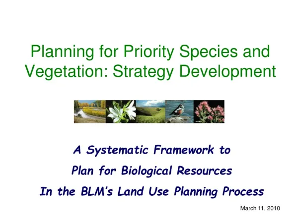 Planning for Priority Species and Vegetation: Strategy Development