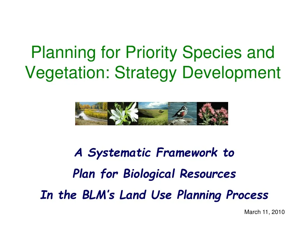 planning for priority species and vegetation strategy development