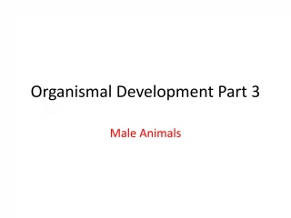 Organismal Development Part 3 - slide 1