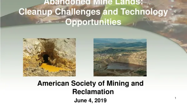 Abandoned Mine Lands: Cleanup Challenges and Technology Opportunities