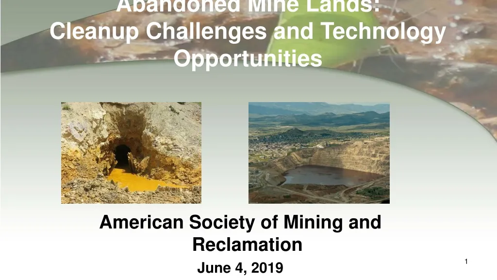 abandoned mine lands cleanup challenges and technology opportunities