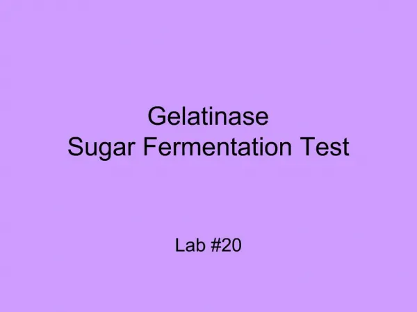 Gelatinase Sugar Fermentation Test
