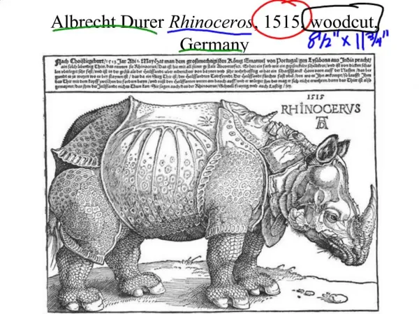 Albrecht Durer Rhinoceros, 1515, woodcut, Germany