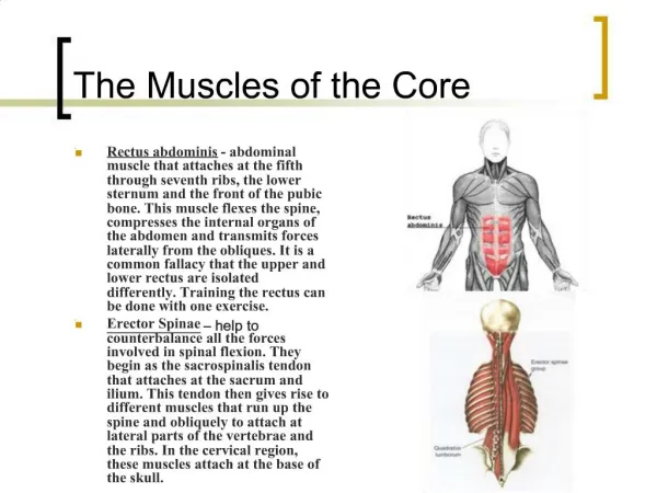 The Muscles of the Core
