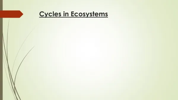 Cycles in Ecosystems