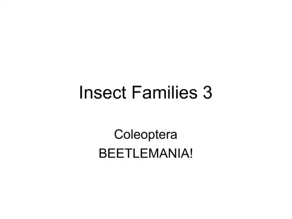 Insect Families 3