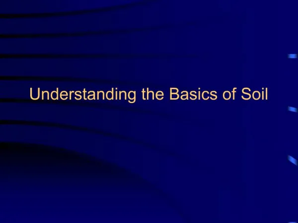 Understanding the Basics of Soil