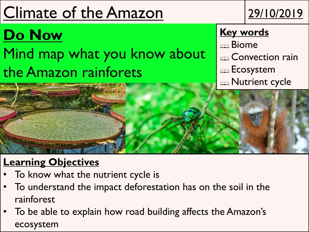 climate of the amazon