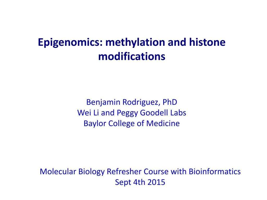 epigenomics methylation and histone modifications