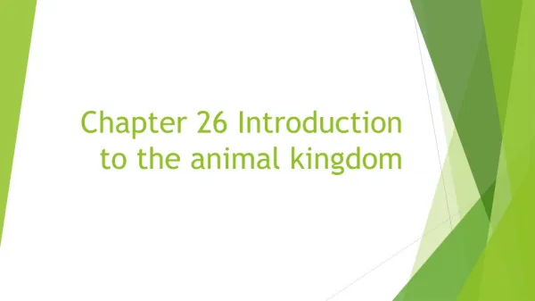 Chapter 26 Introduction to the animal kingdom