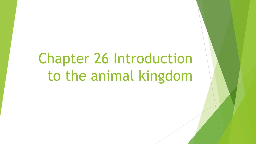 chapter 26 introduction to the animal kingdom