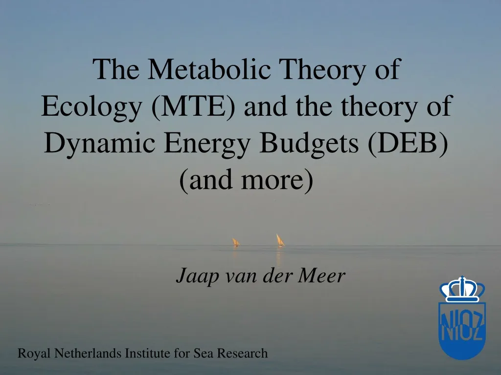 the metabolic theory of ecology mte and the theory of dynamic energy budgets deb and more