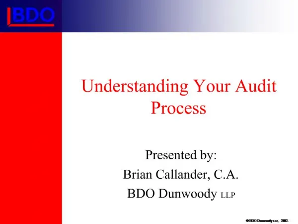 Understanding Your Audit Process