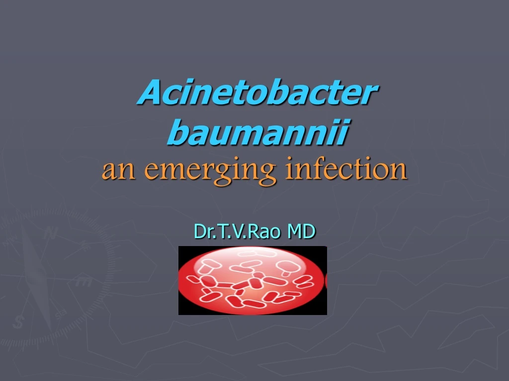 acinetobacter baumannii an emerging infection