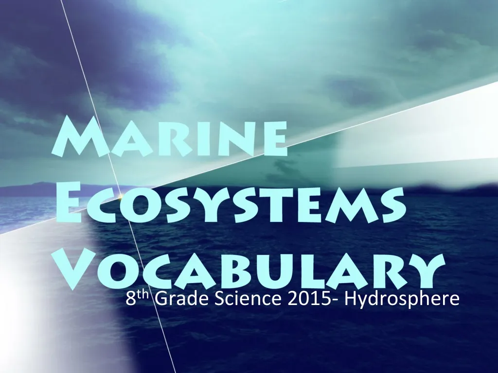 marine ecosystems vocabulary