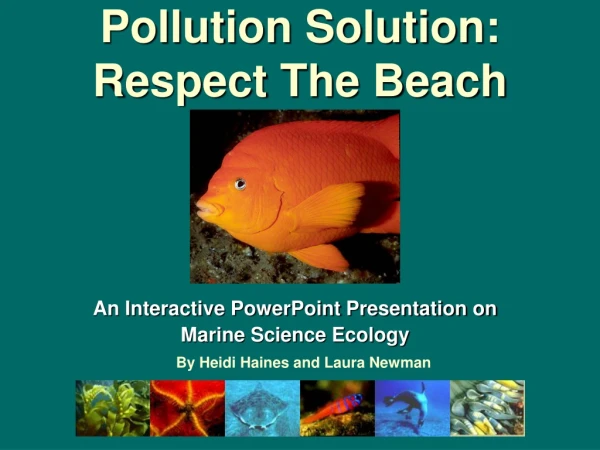 Pollution Solution: Respect The Beach