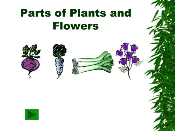 Parts of Plants and Flowers