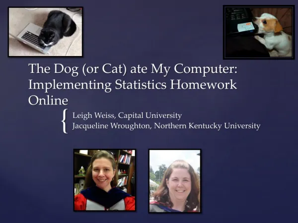 The Dog (or Cat) ate My Computer: Implementing Statistics Homework Online