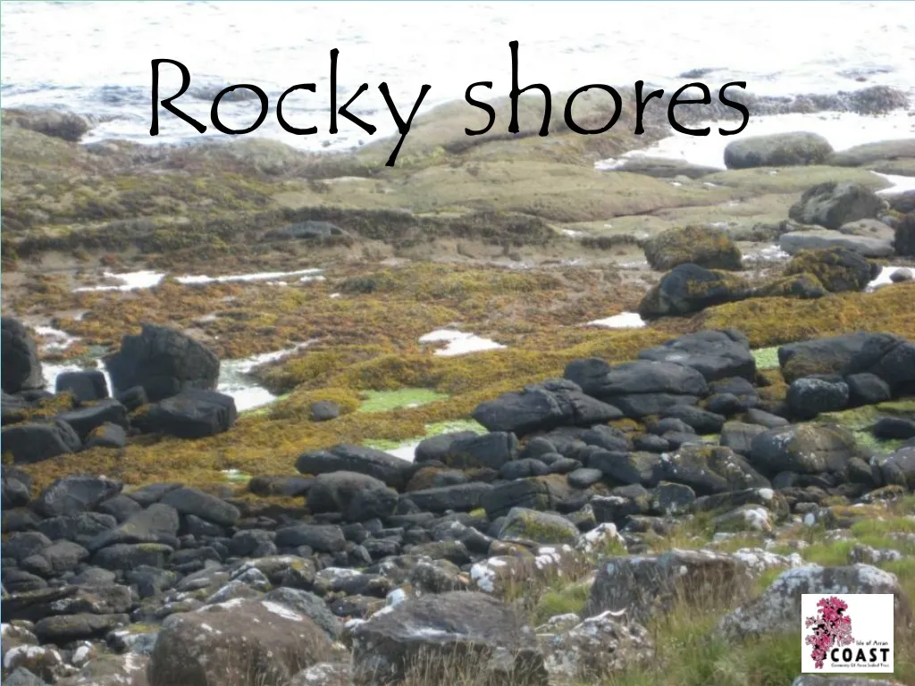 rocky shores