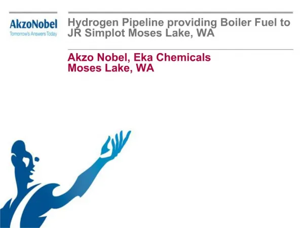 Akzo Nobel, Eka Chemicals Moses Lake, WA