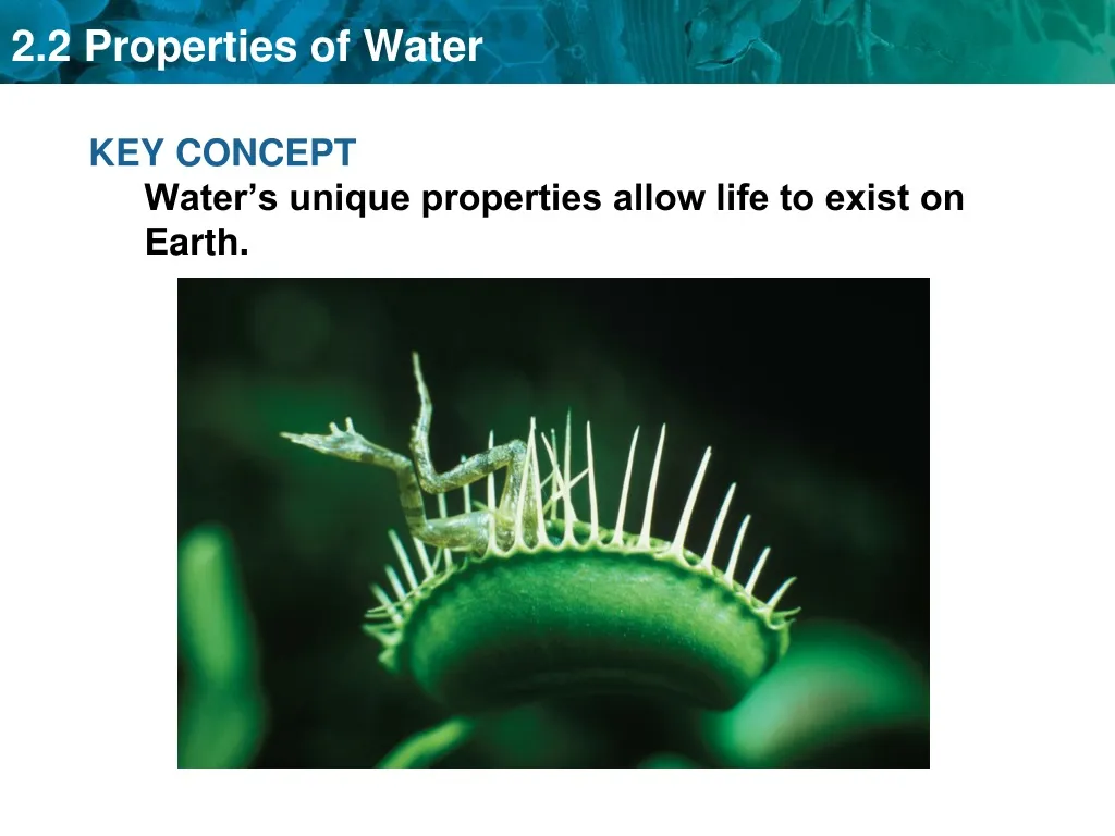 key concept water s unique properties allow life