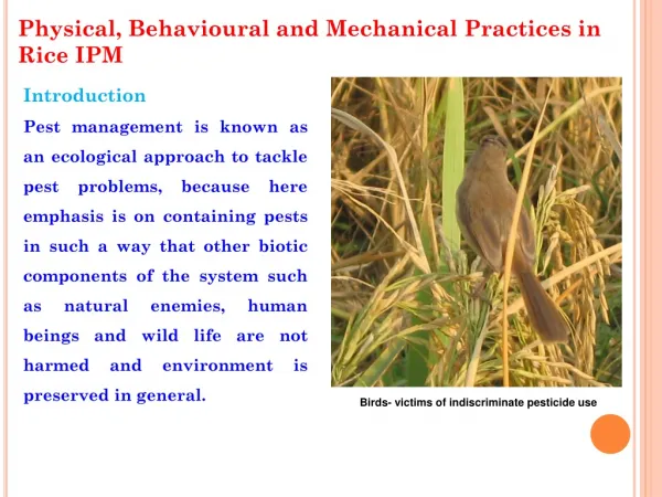 Physical, Behavioural and Mechanical Practices in Rice IPM