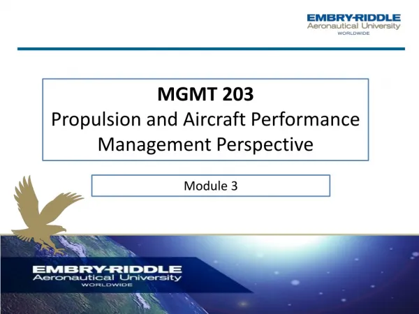 MGMT 203 Propulsion and Aircraft Performance Management Perspective