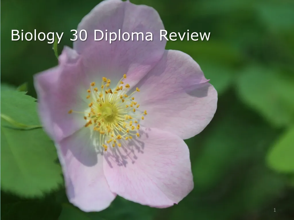 biology 30 diploma review