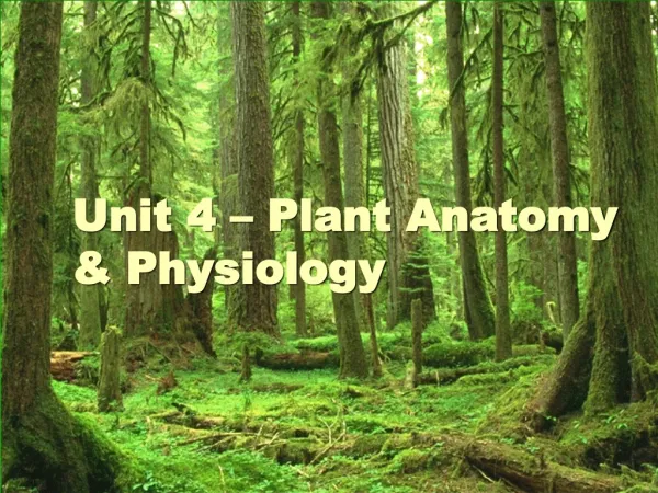 Unit 4 – Plant Anatomy &amp; Physiology
