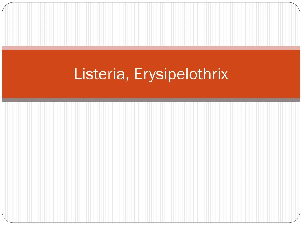 listeria erysipelothrix