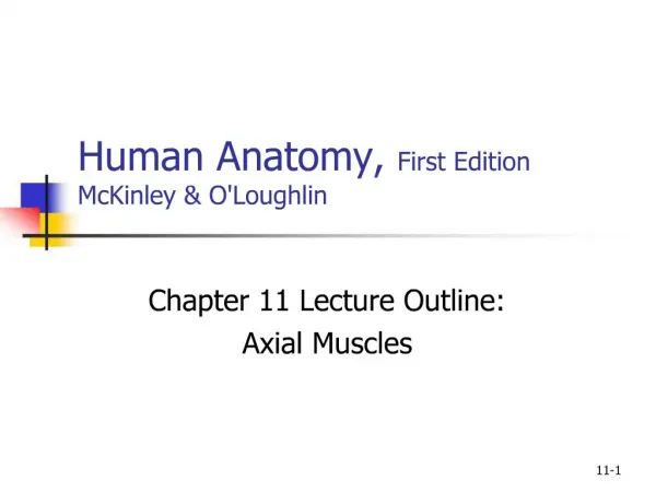 Human Anatomy, First Edition McKinley OLoughlin