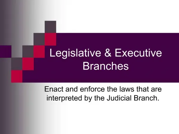 Legislative Executive Branches