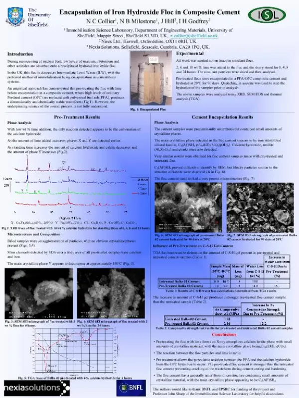 Encapsulation of Iron Hydroxide Floc in Composite Cement