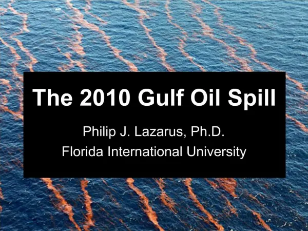 The 2010 Gulf Oil Spill