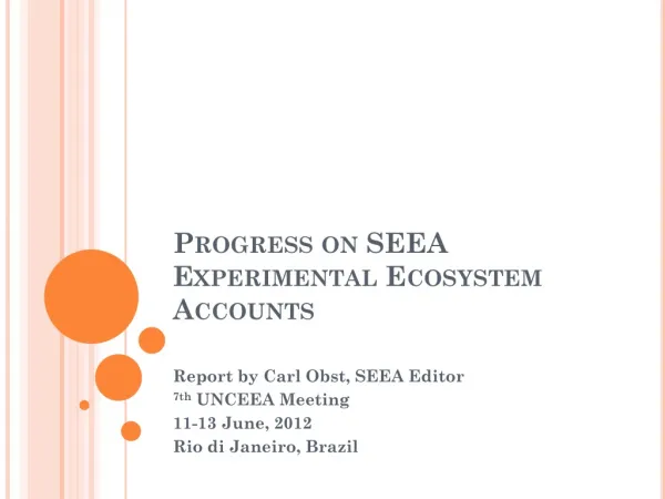 Progress on SEEA Experimental Ecosystem Accounts