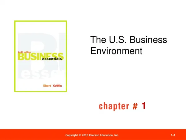 The U.S. Business Environment