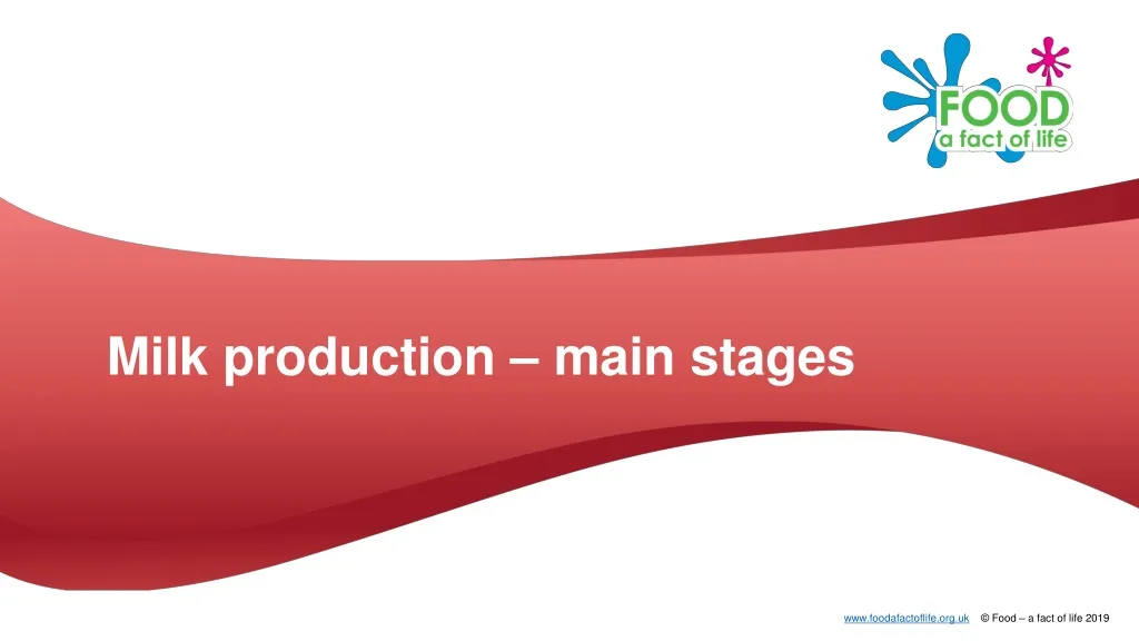 milk production main stages