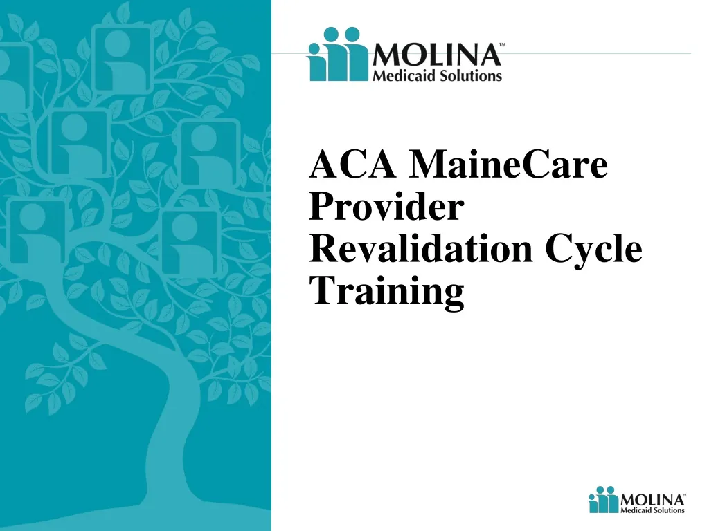 aca mainecare provider revalidation cycle training