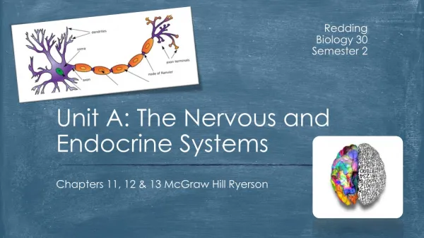 Unit A: The Nervous and Endocrine Systems