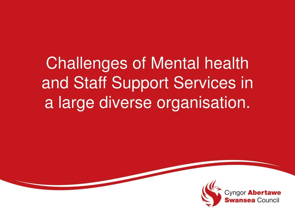 challenges of mental health and staff support services in a large diverse organisation