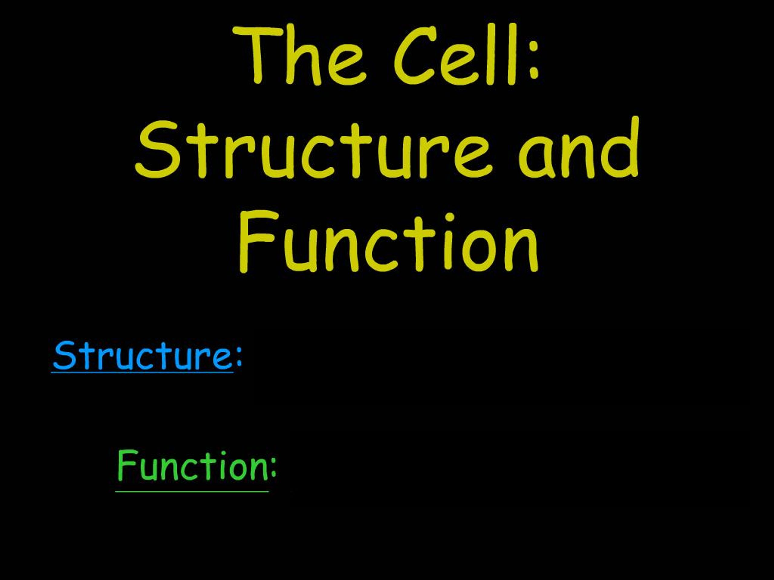 PPT - The Cell: Structure and Function PowerPoint Presentation, free ...