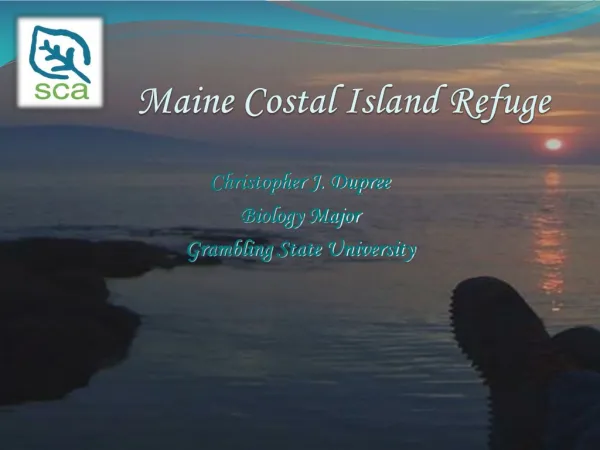Maine Costal Island Refuge