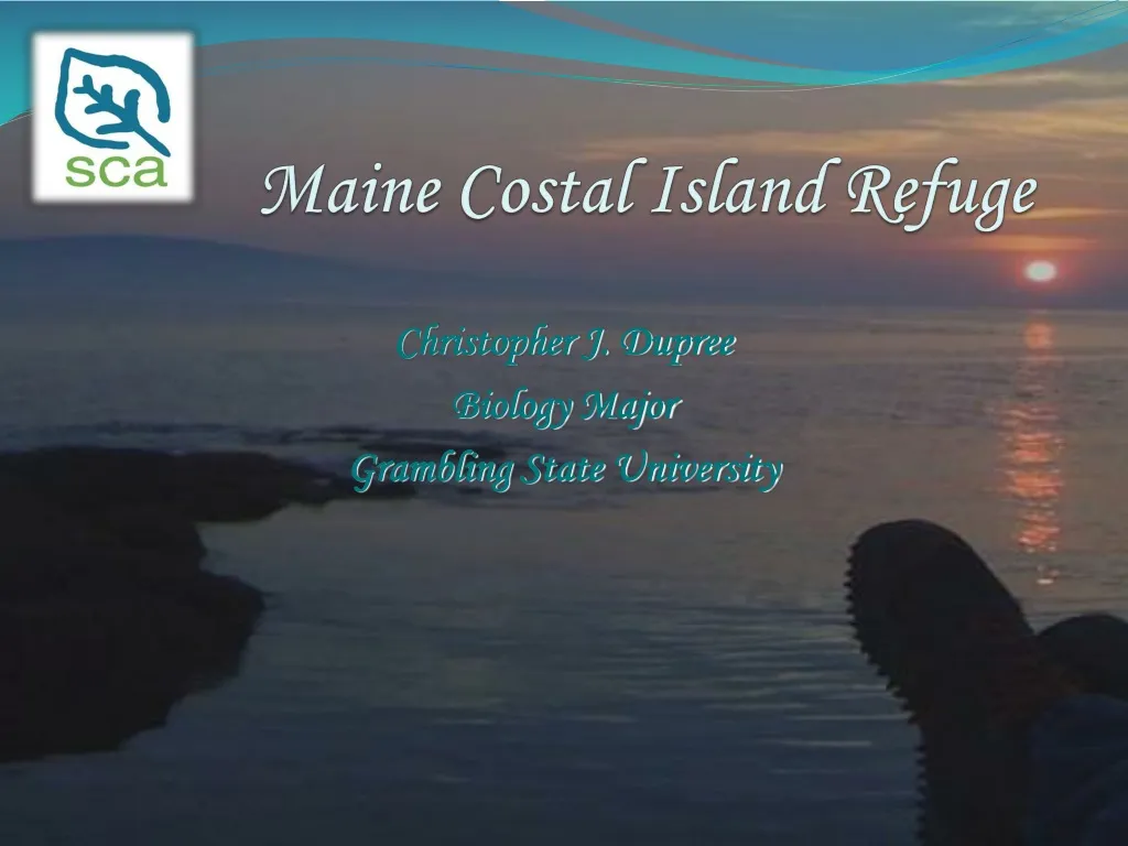 maine costal island refuge