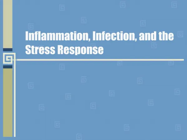 Inflammation, Infection, and the Stress Response