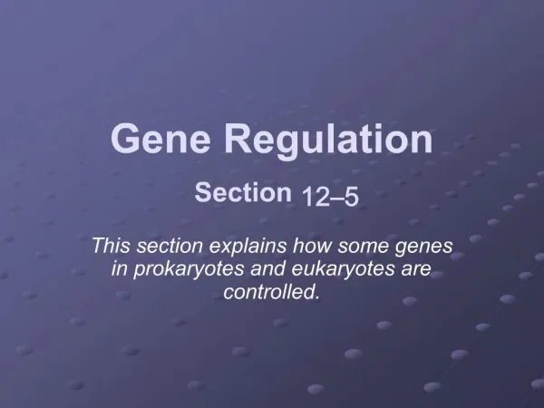 Gene Regulation Section 12–5