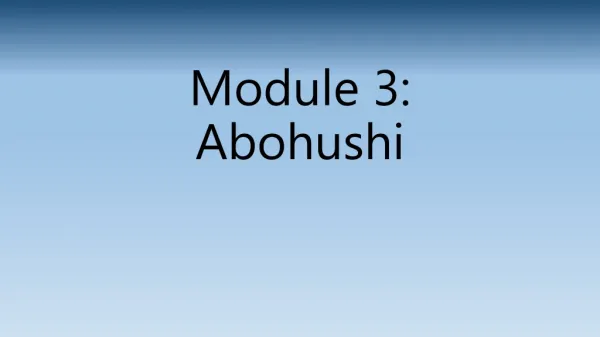 module 3 abohushi