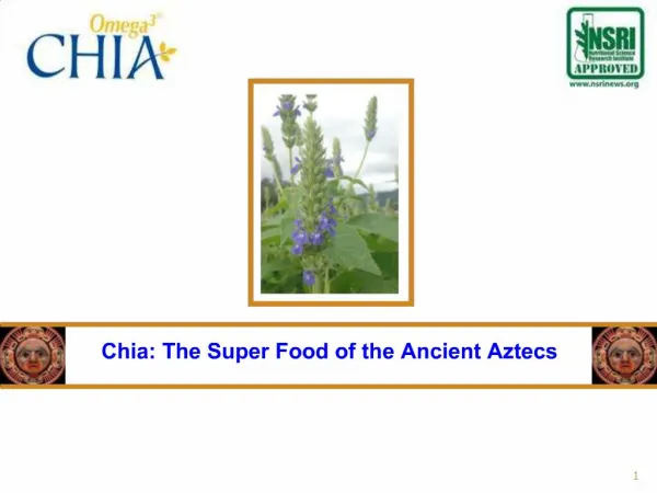 Chia: The Super Food of the Ancient Aztecs