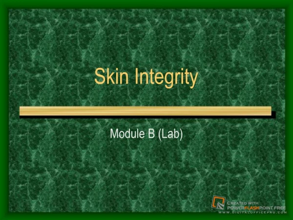 Skin Integrity