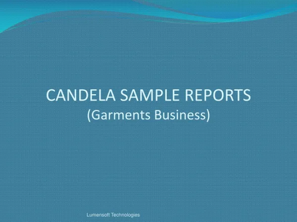 CANDELA SAMPLE REPORTS (Garments Business)