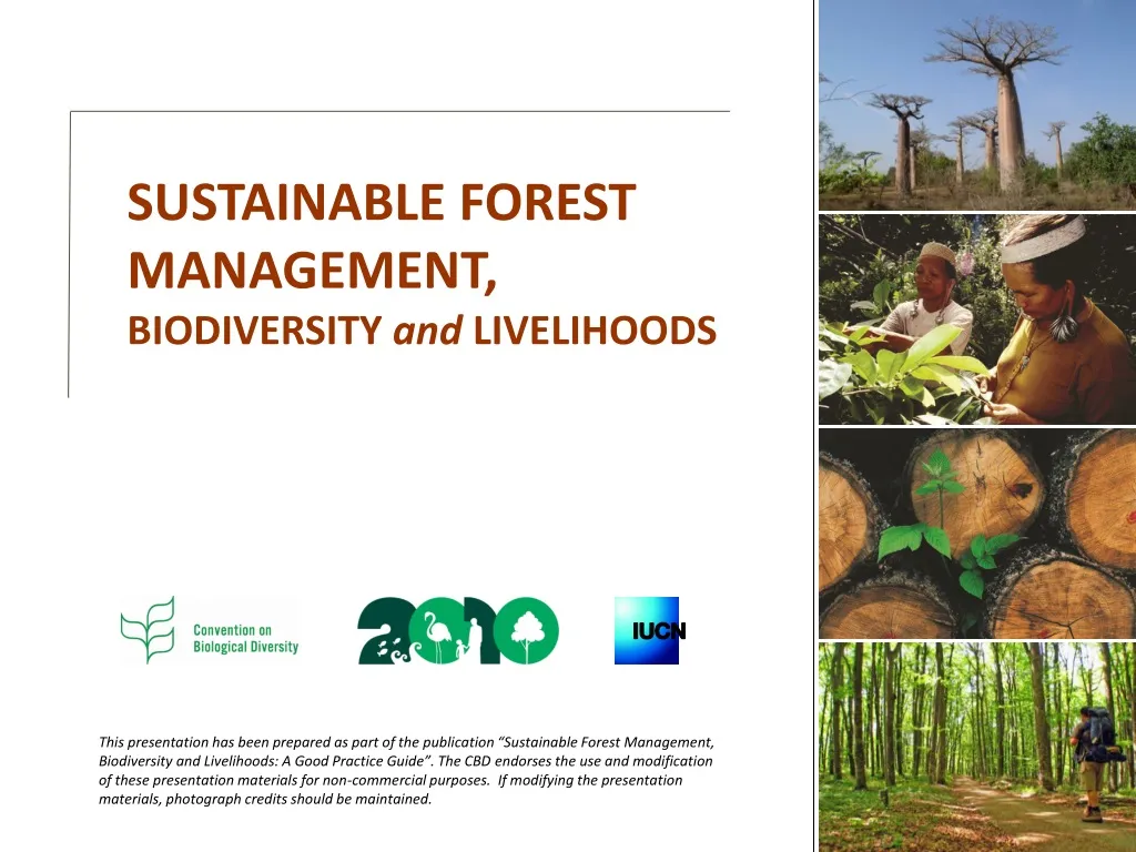 sustainable forest management biodiversity